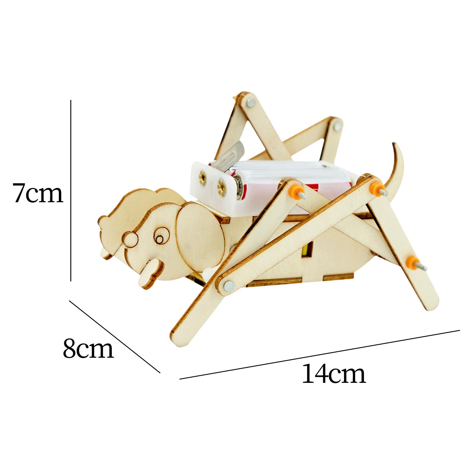 DIY Wooden Model Set Science K - Science Project Toys Making recension och pris