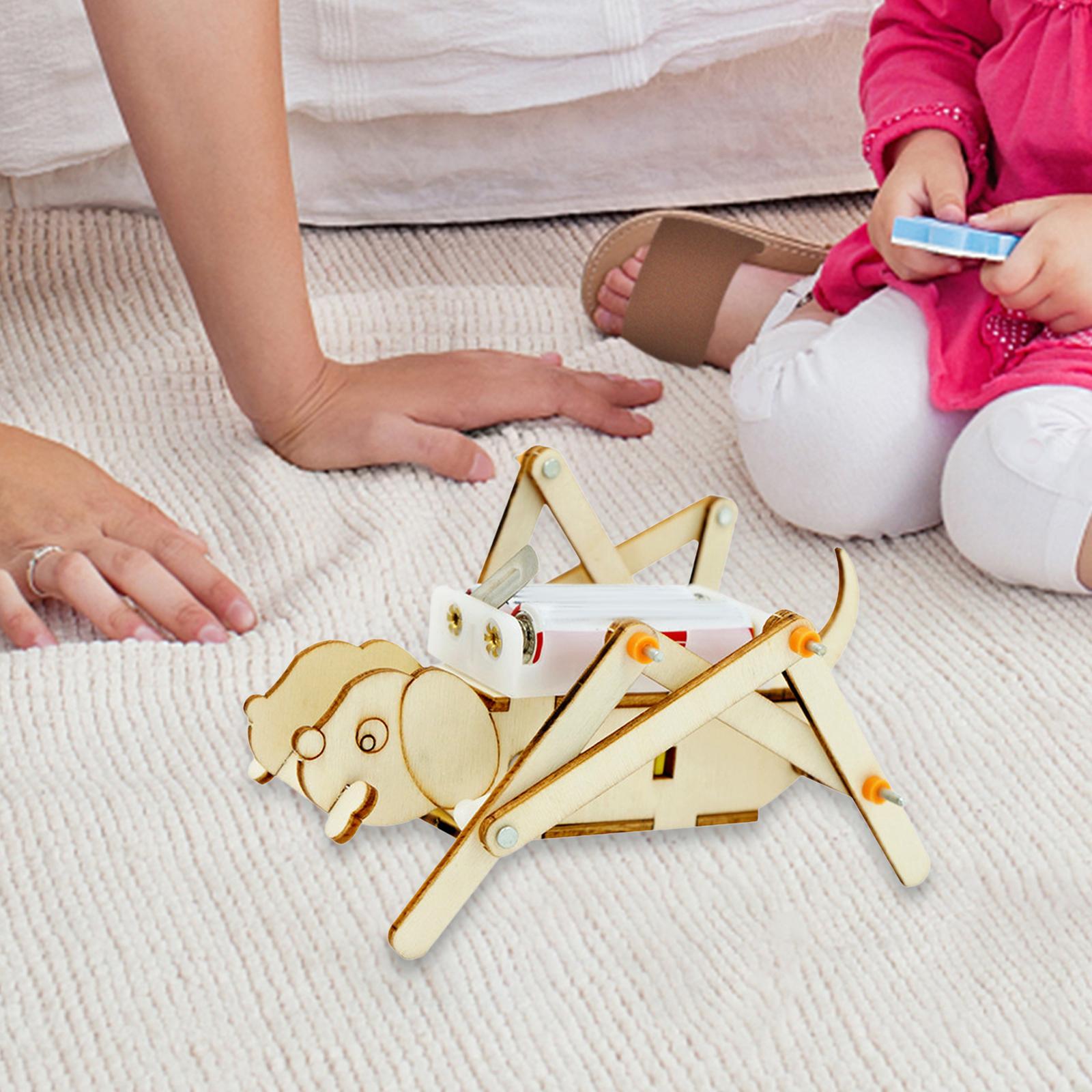 DIY Wooden Model Set Science K - Science Project Toys Making recension och pris