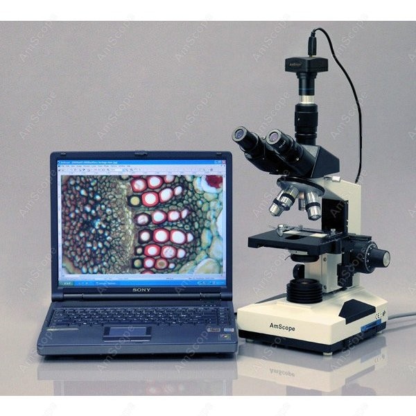 AmScope T490 Series Simul-Foca - Microscope Compound 40X recension och pris