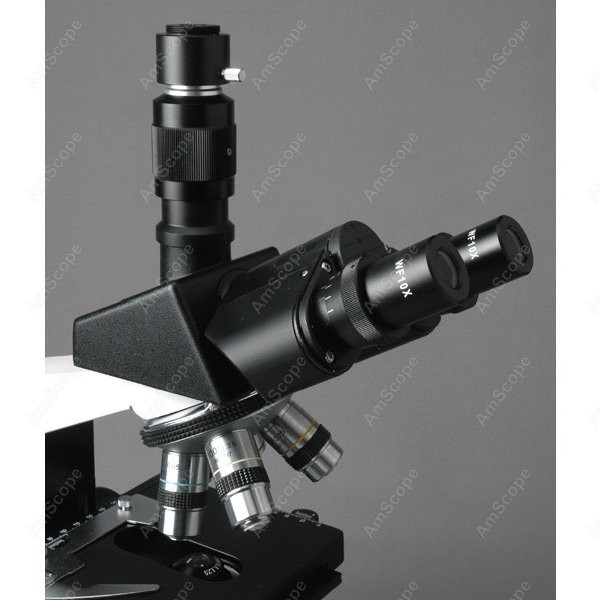 AmScope T490 Series Simul-Foca - Microscope Compound 40X recension och pris
