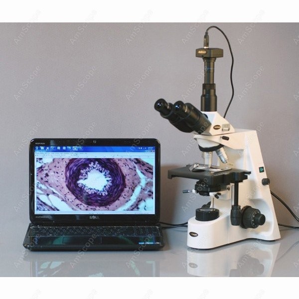 AmScope 40X-2500X Infinity Koh - Microscope Compound 40X recension och pris