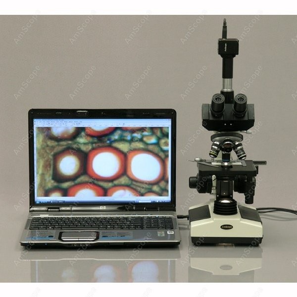 AmScope T390 Series Biological - Microscope Compound 40X recension och pris